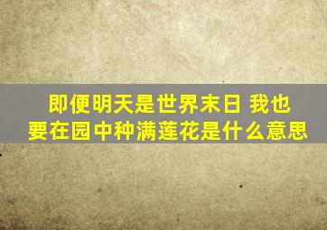 即便明天是世界末日 我也要在园中种满莲花是什么意思
